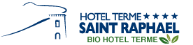 Logo DimHotels